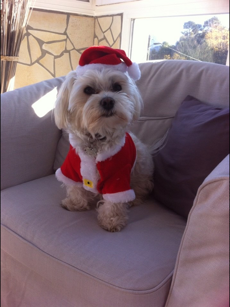 Avatar de l’utilisateur