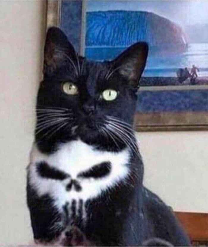 Avatar de l’utilisateur