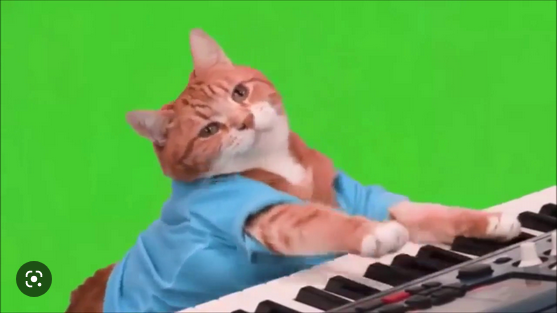 Avatar de l’utilisateur