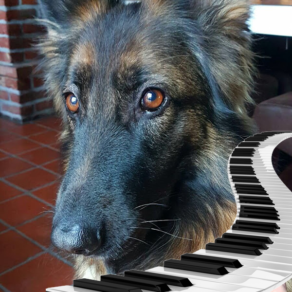 Avatar de l’utilisateur