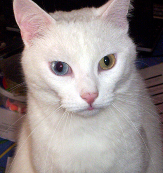 Avatar de l’utilisateur