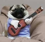 Avatar de l’utilisateur