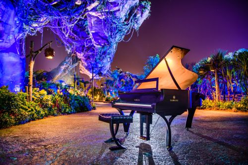 Avatar de l’utilisateur