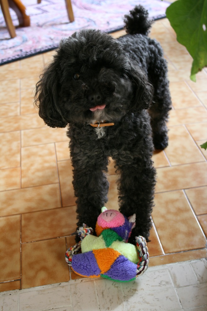 Avatar de l’utilisateur